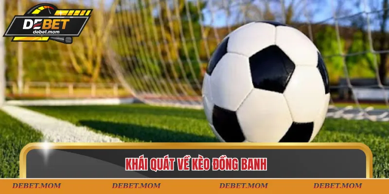 Khái quát về kèo đông banh