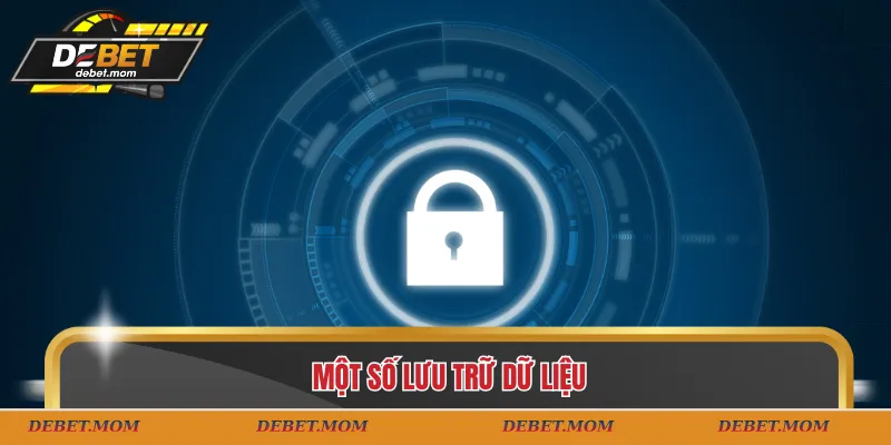 Một số lưu trữ giữ liệu